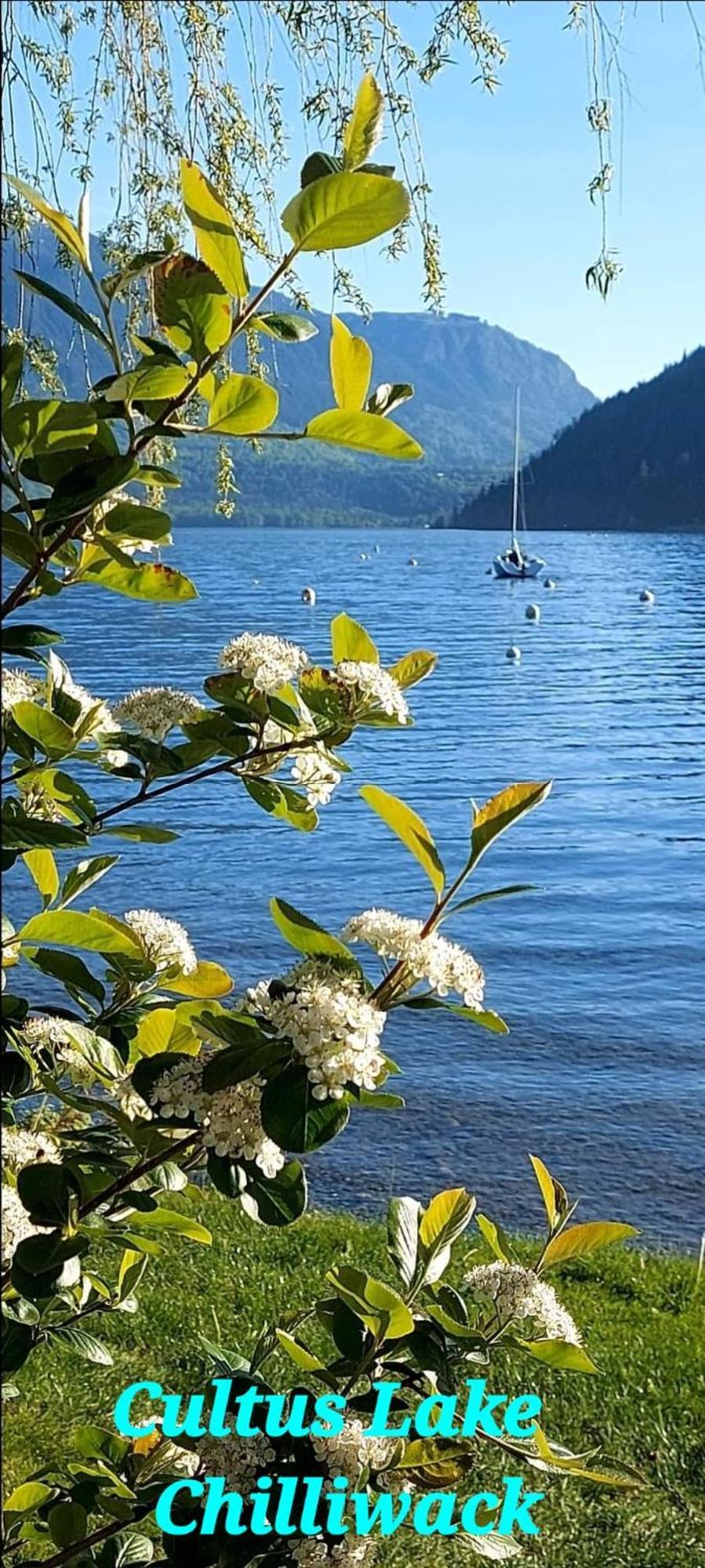 Private 2 Bedrooms Suite Near Hwy 1, Cultus Lake, Heritage Park, Fishing, Coliseum تشيليواك الغرفة الصورة